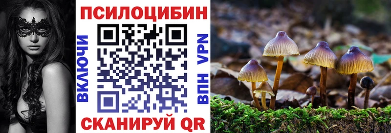 Галлюциногенные грибы мицелий  Берёзовка 